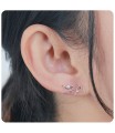 Reindeer Rickshaw Sled With CZ Silver Stud Earrings STS-5513